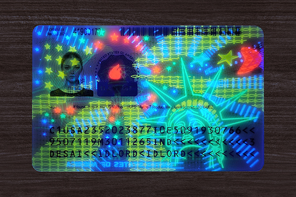 IMG_20251011_1207492