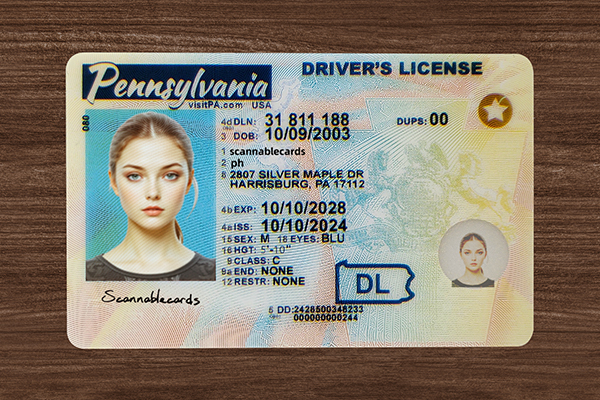 IMG_20251014_163421 拷贝 2